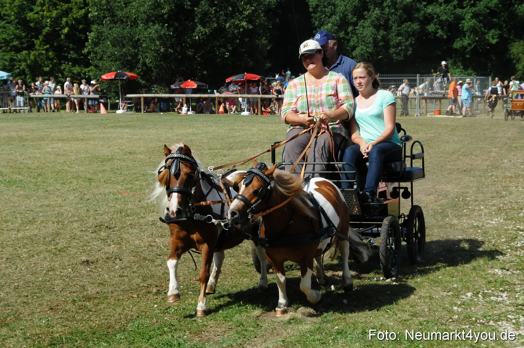Pferde Fohlenschau 200812 0295