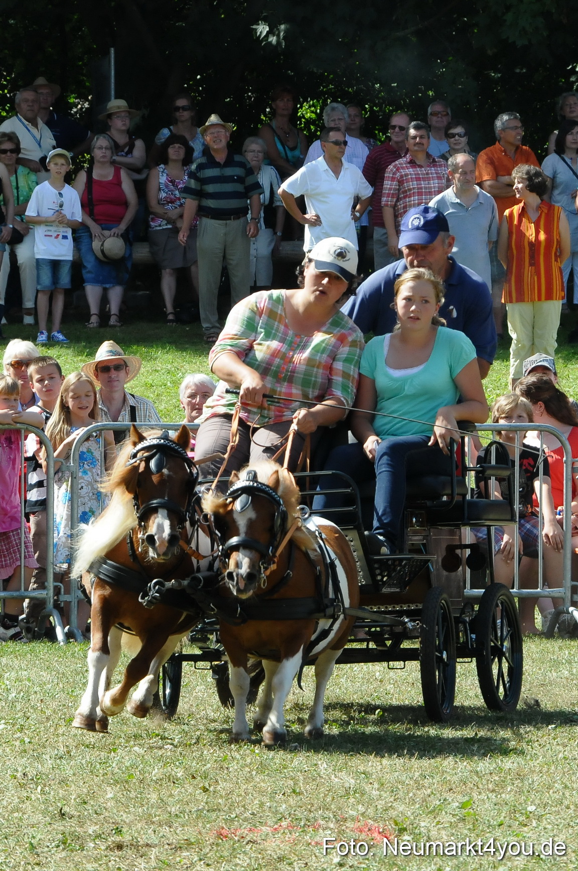 Pferde Fohlenschau 200812 0296