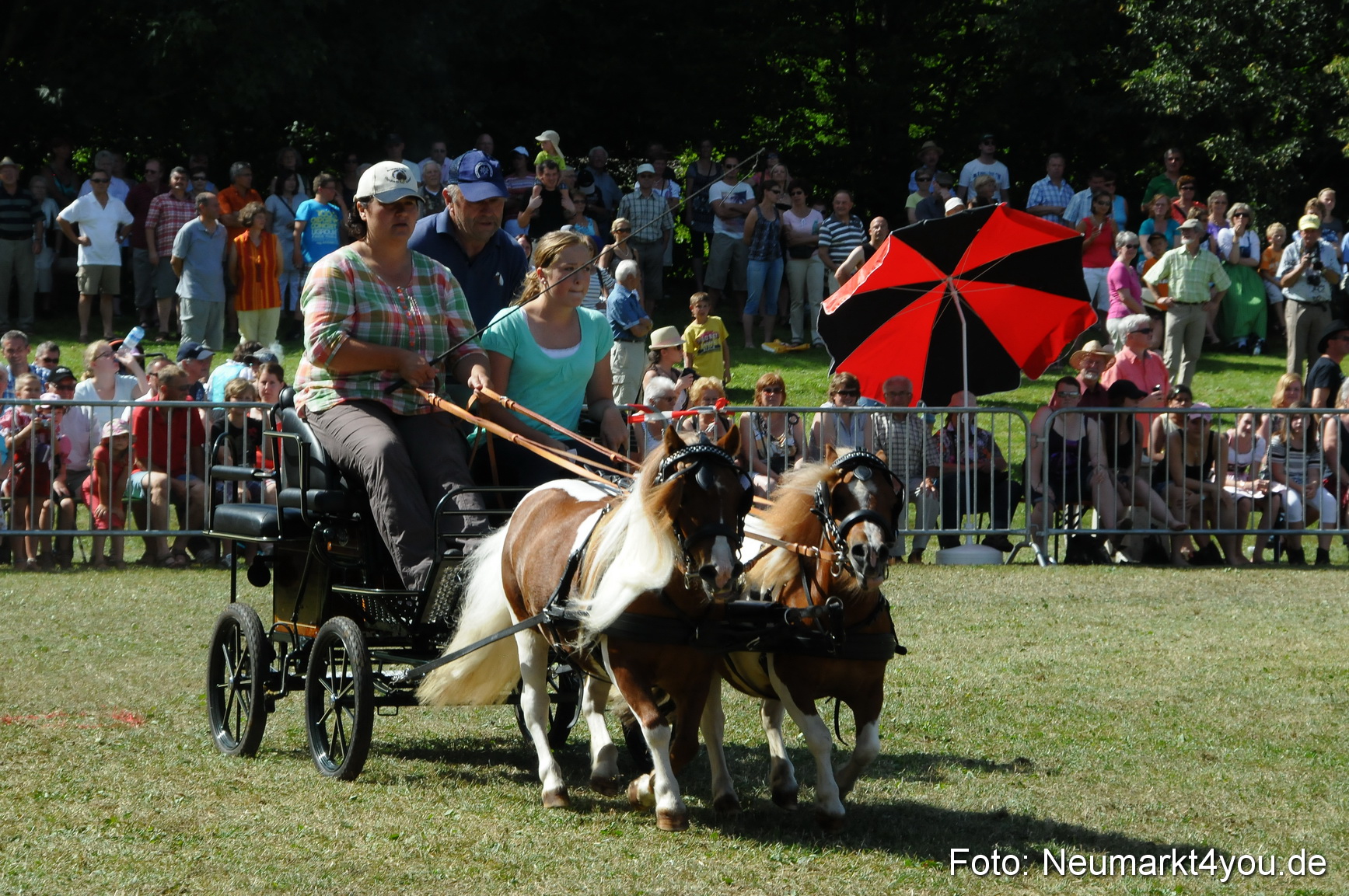 Pferde Fohlenschau 200812 0297