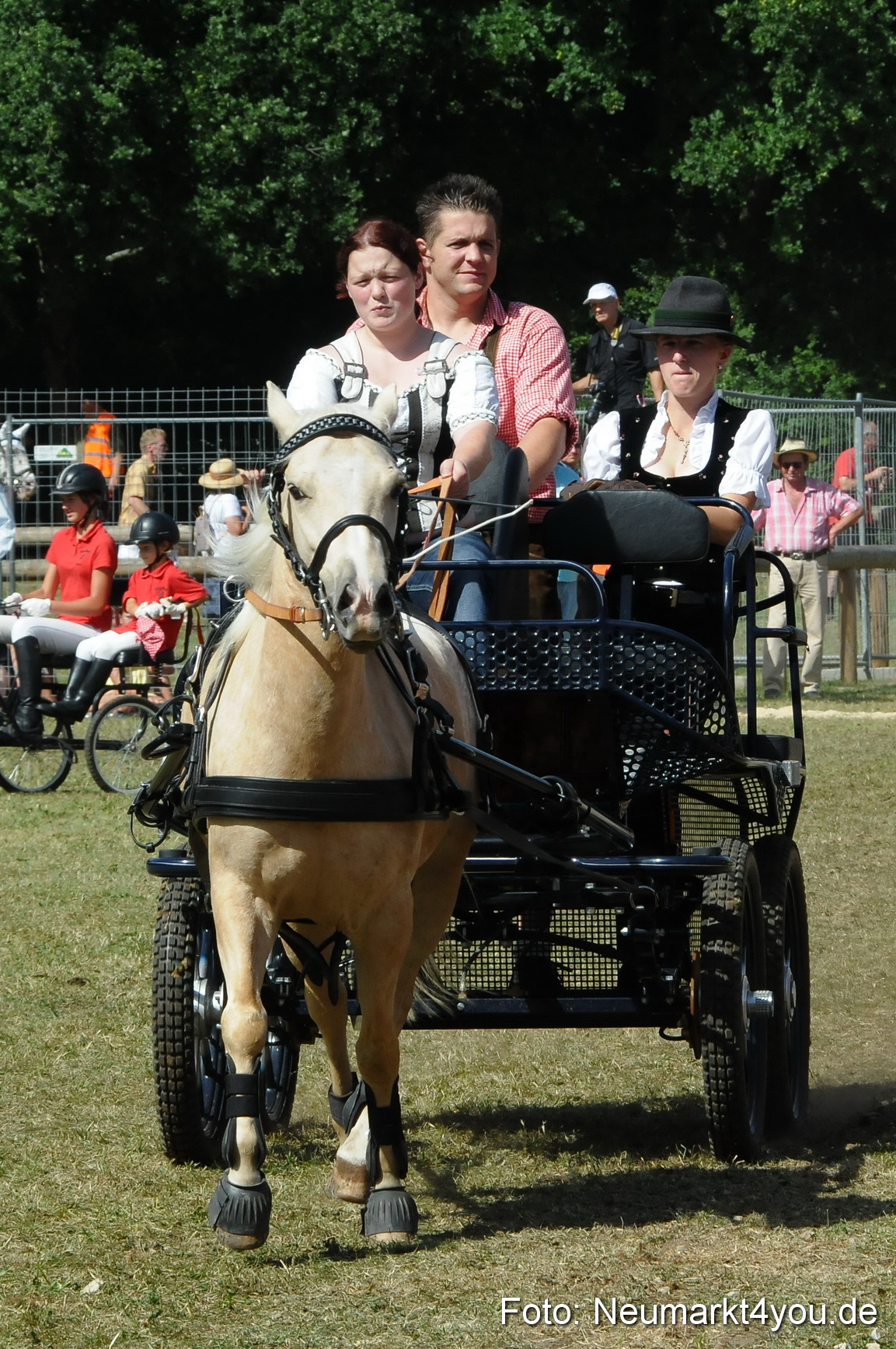Pferde Fohlenschau 200812 0298