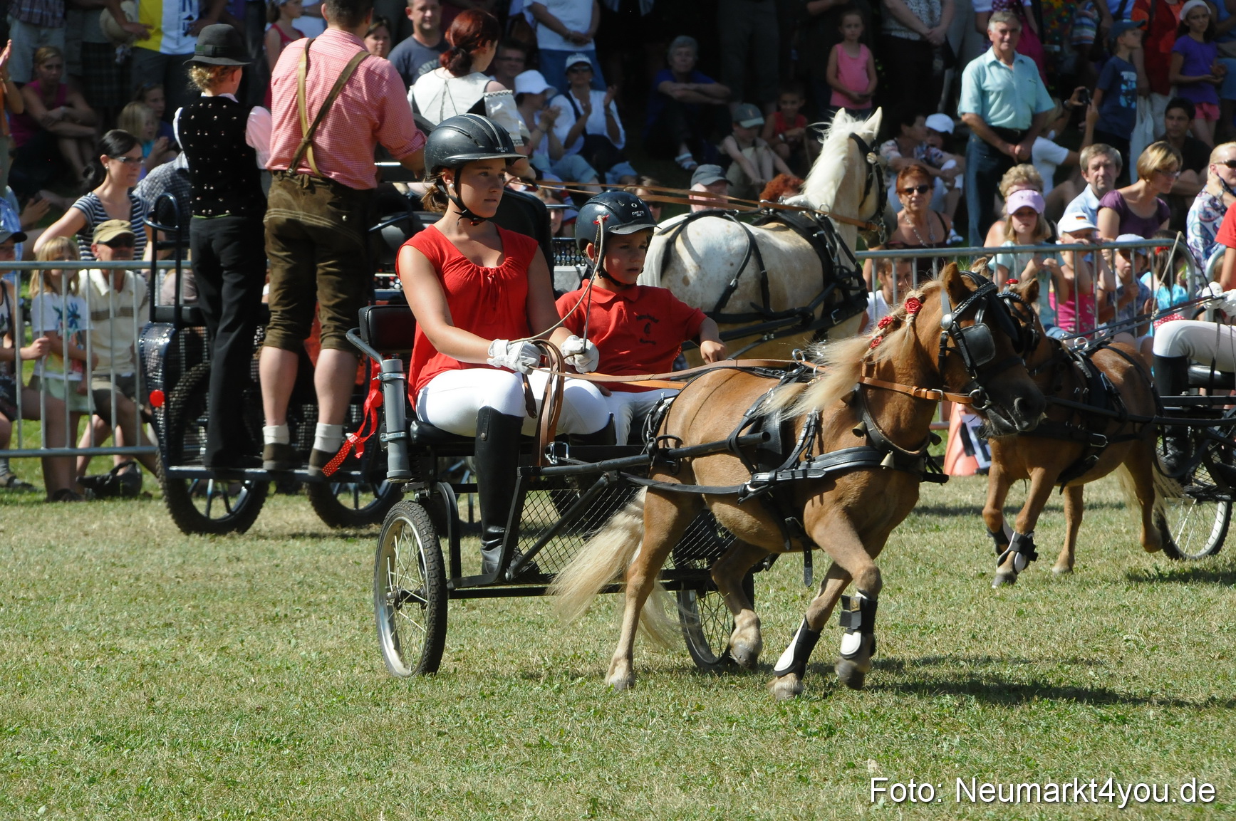 Pferde Fohlenschau 200812 0299