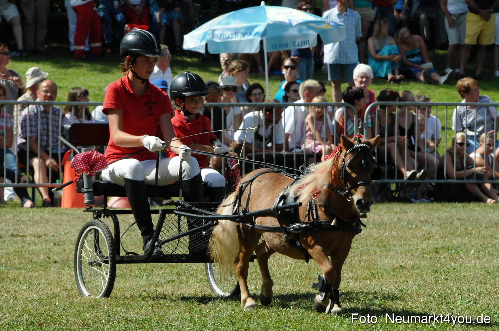 Pferde Fohlenschau 200812 0300