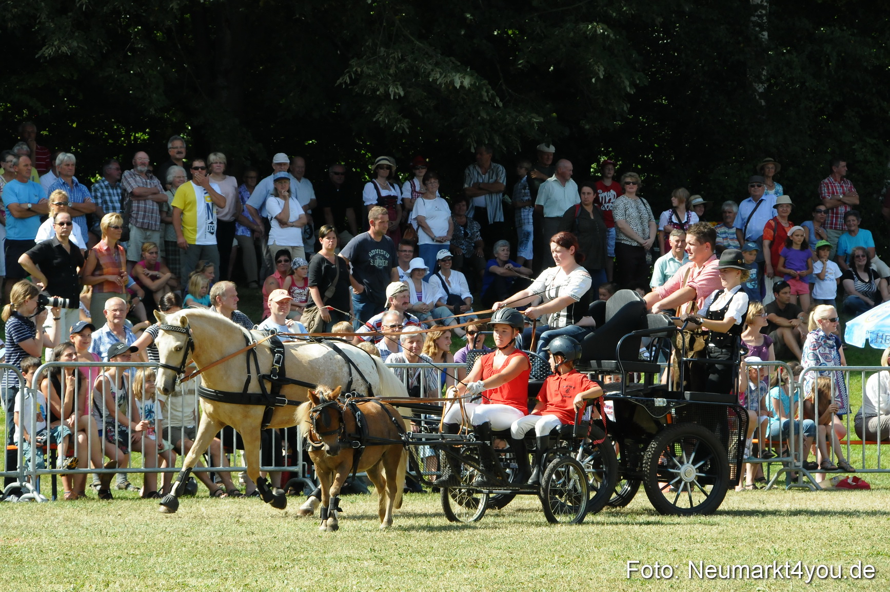 Pferde Fohlenschau 200812 0301