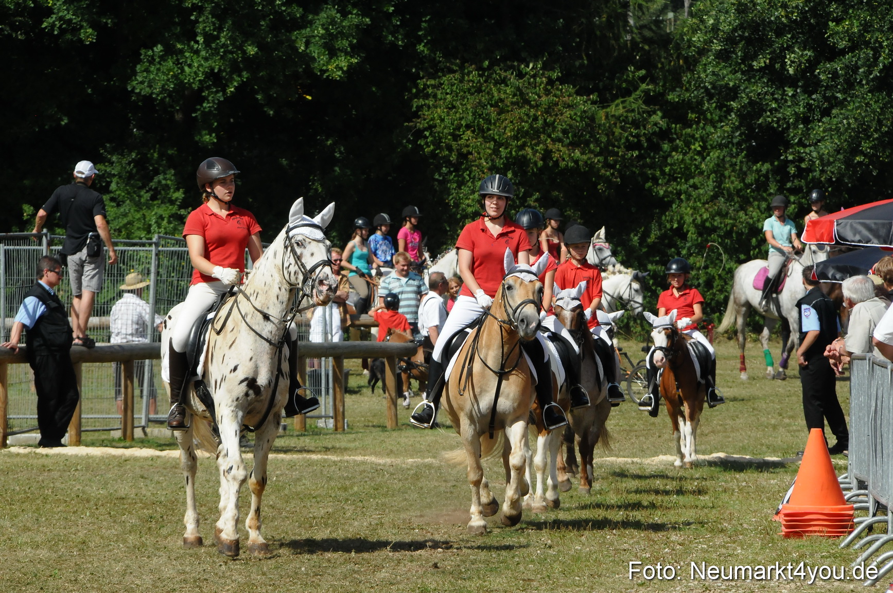 Pferde Fohlenschau 200812 0302