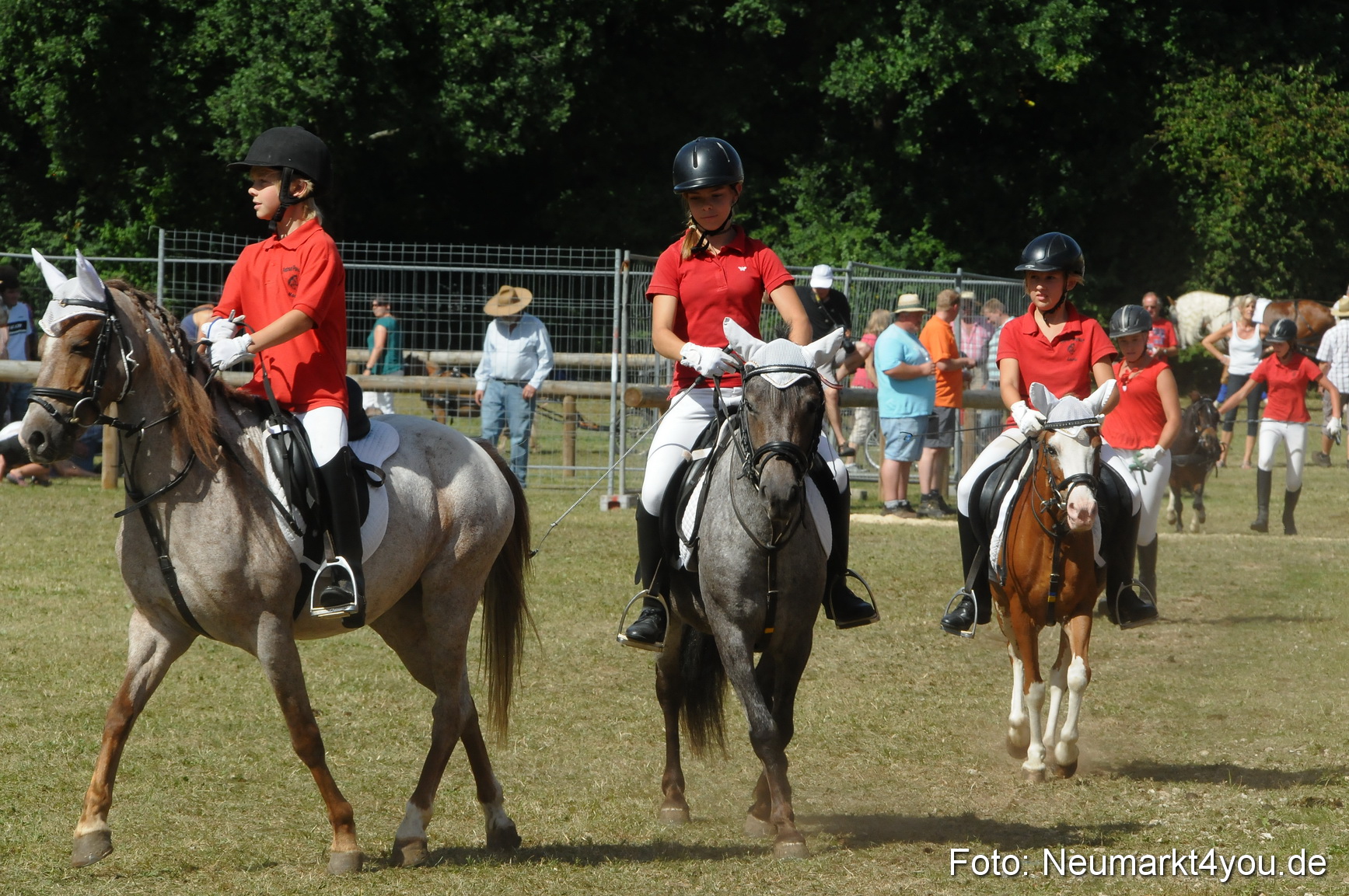 Pferde Fohlenschau 200812 0303