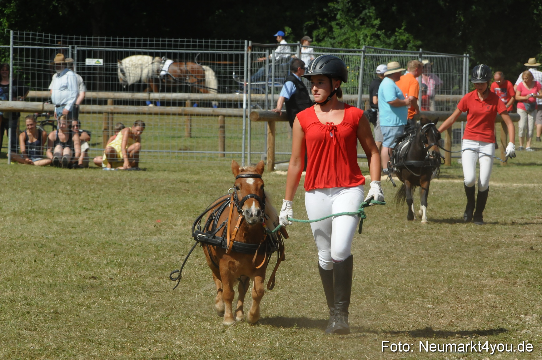 Pferde Fohlenschau 200812 0304