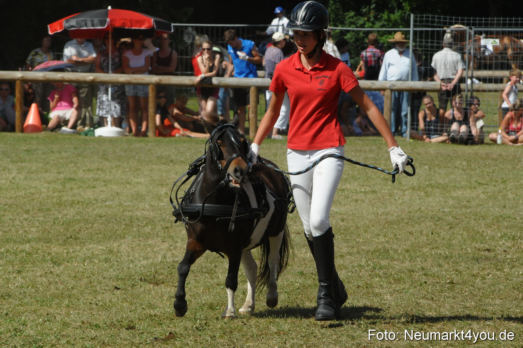 Pferde Fohlenschau 200812 0305