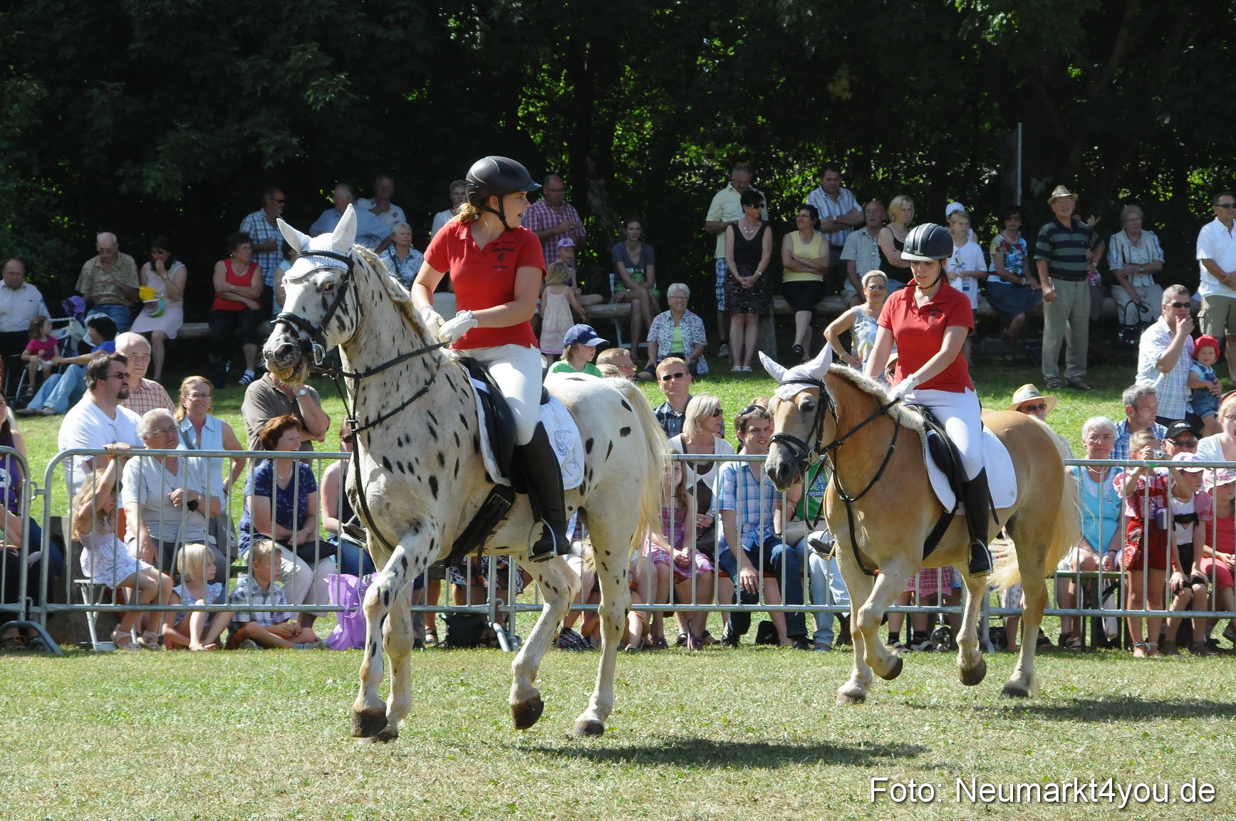 Pferde Fohlenschau 200812 0306