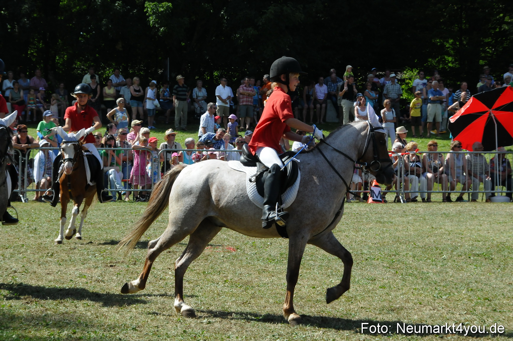 Pferde Fohlenschau 200812 0307