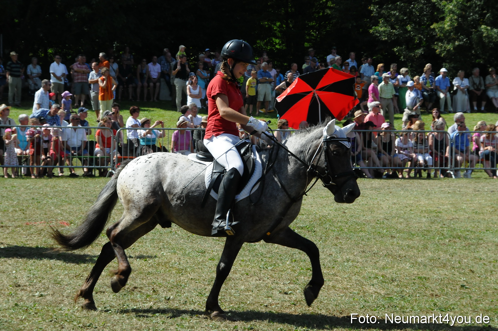 Pferde Fohlenschau 200812 0308