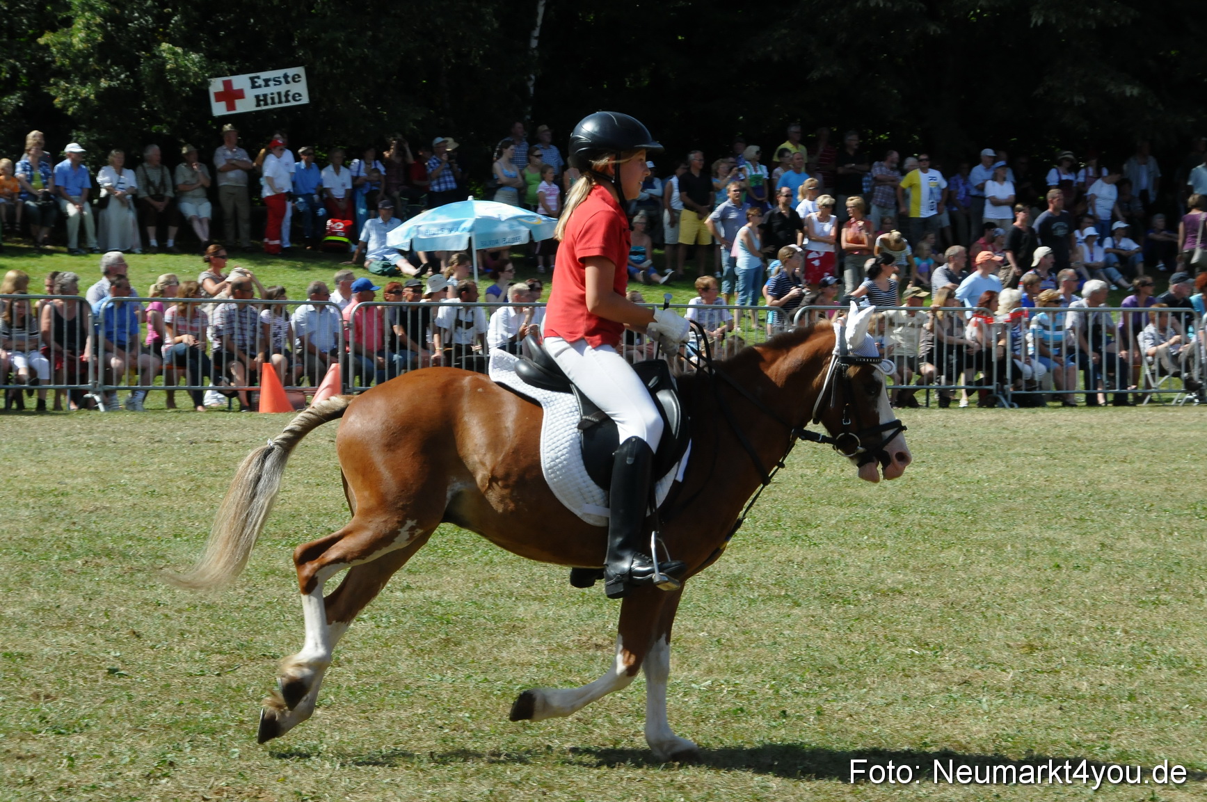 Pferde Fohlenschau 200812 0309