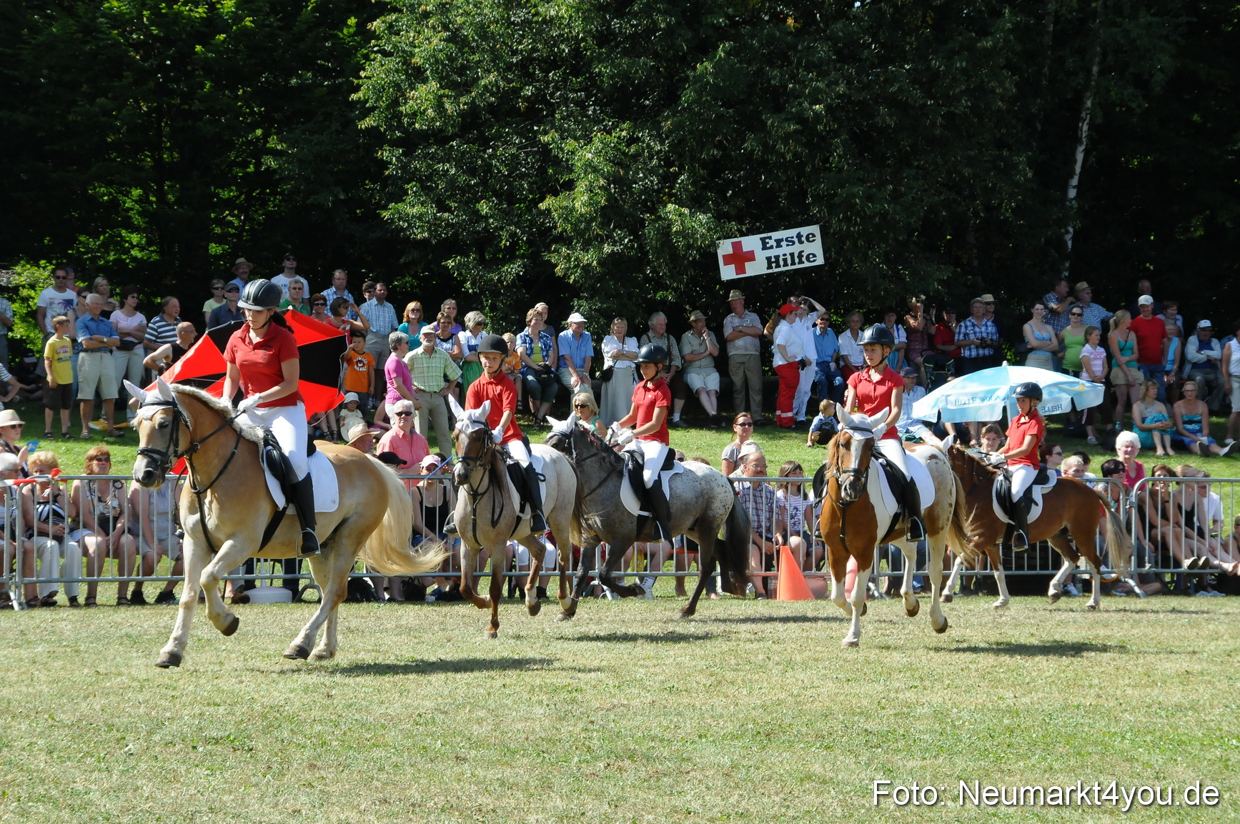 Pferde Fohlenschau 200812 0310