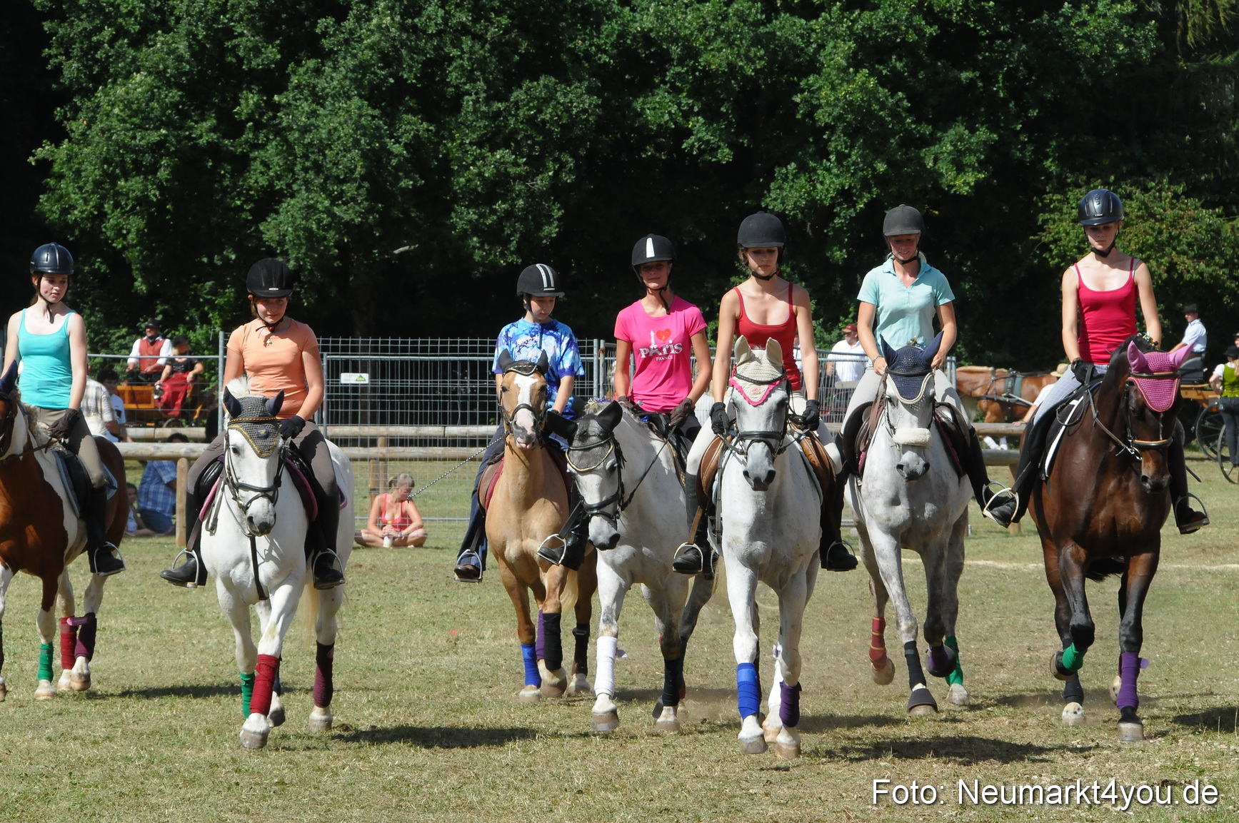 Pferde Fohlenschau 200812 0311
