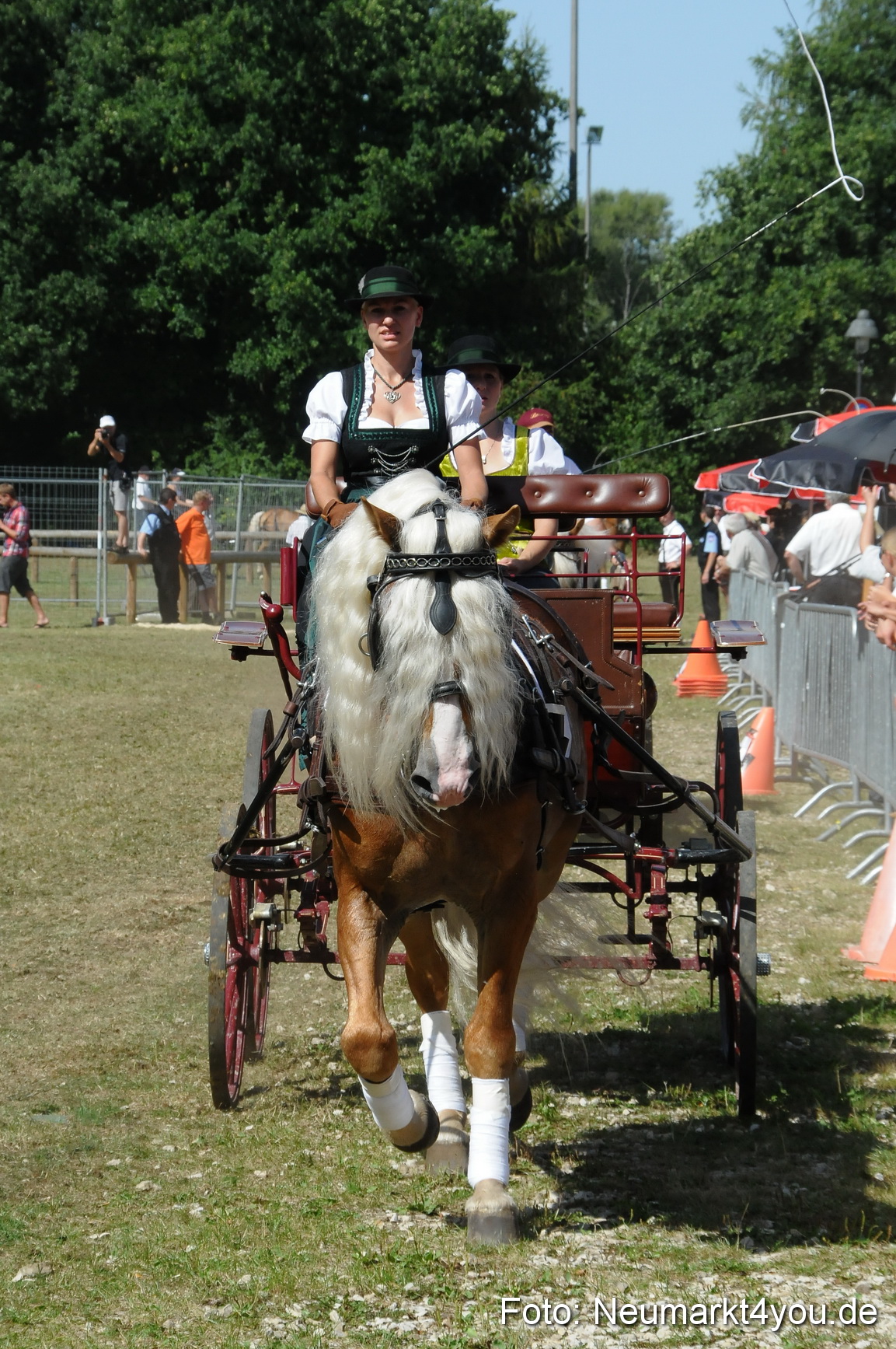 Pferde Fohlenschau 200812 0313