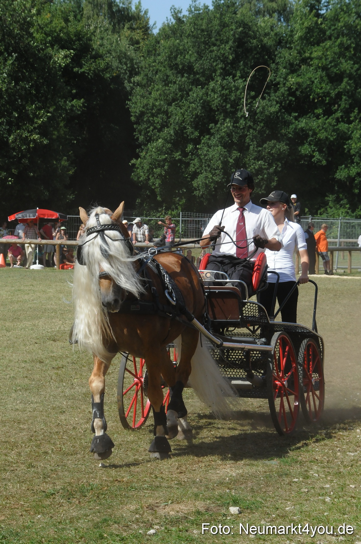 Pferde Fohlenschau 200812 0316