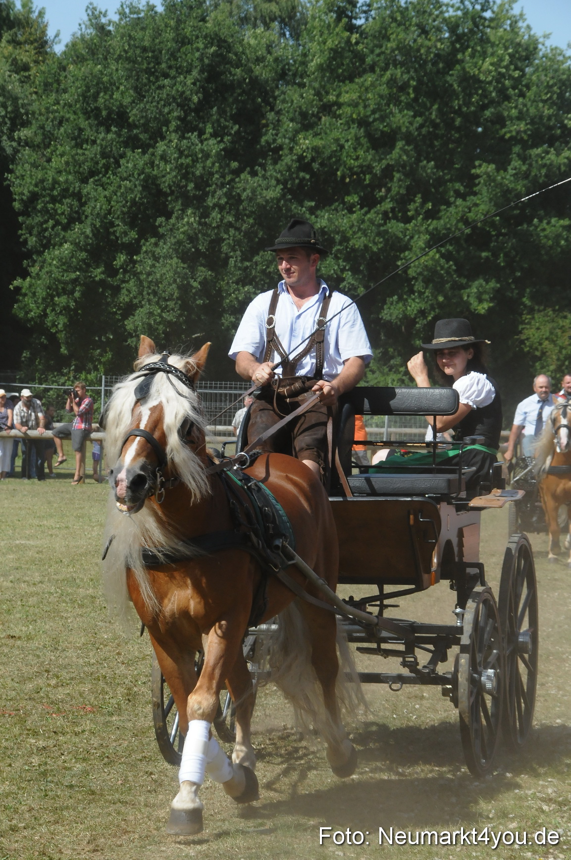 Pferde Fohlenschau 200812 0317