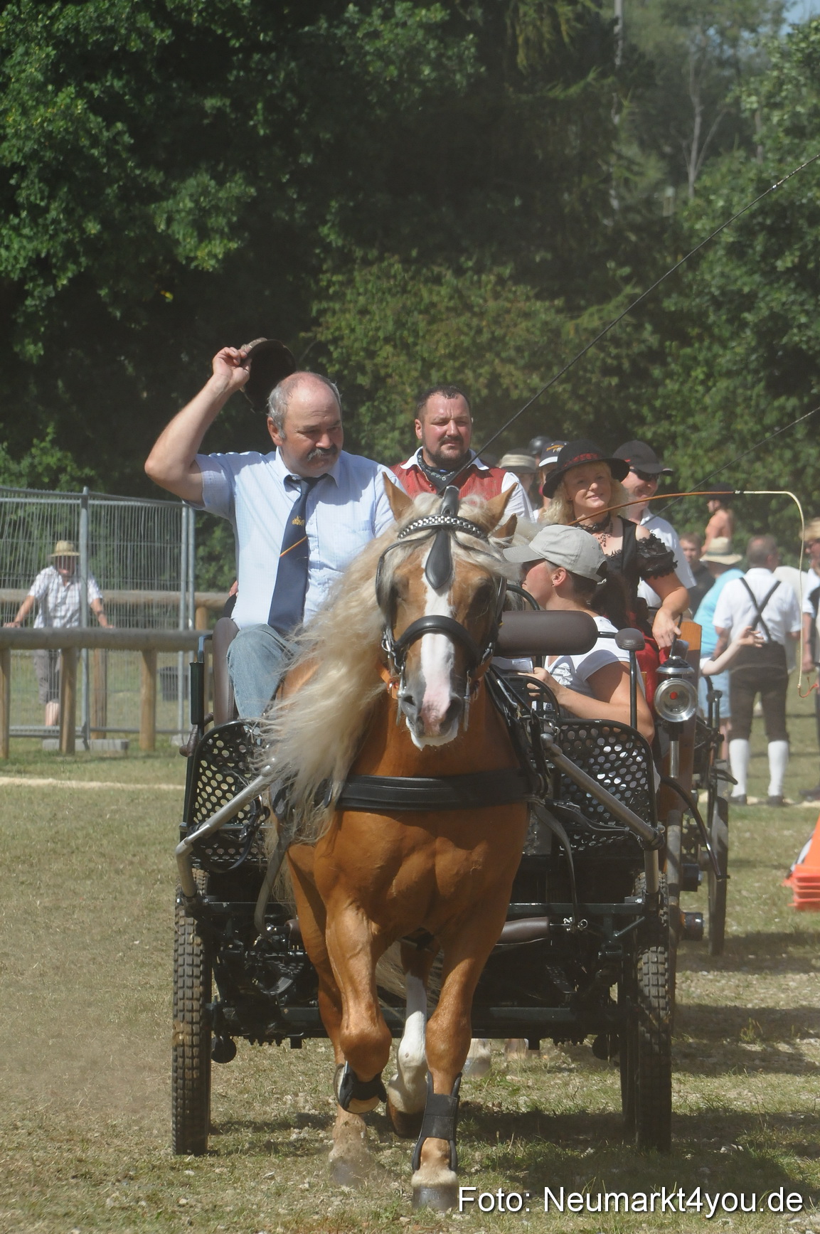 Pferde Fohlenschau 200812 0318