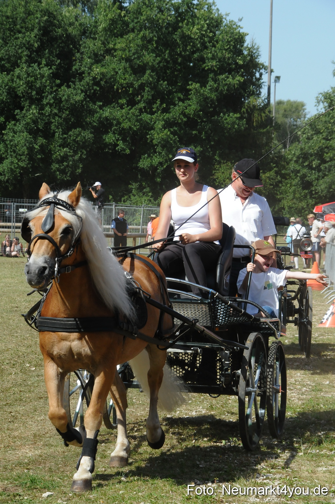 Pferde Fohlenschau 200812 0319