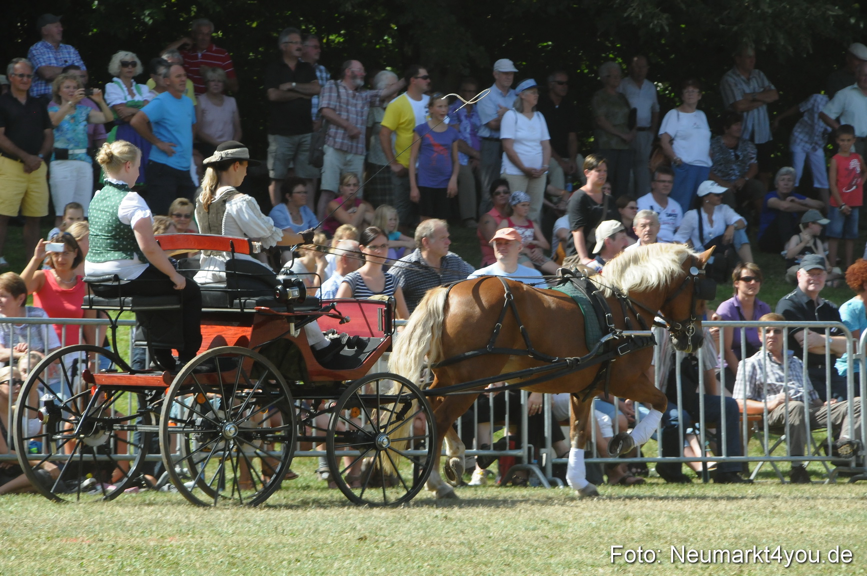 Pferde Fohlenschau 200812 0322