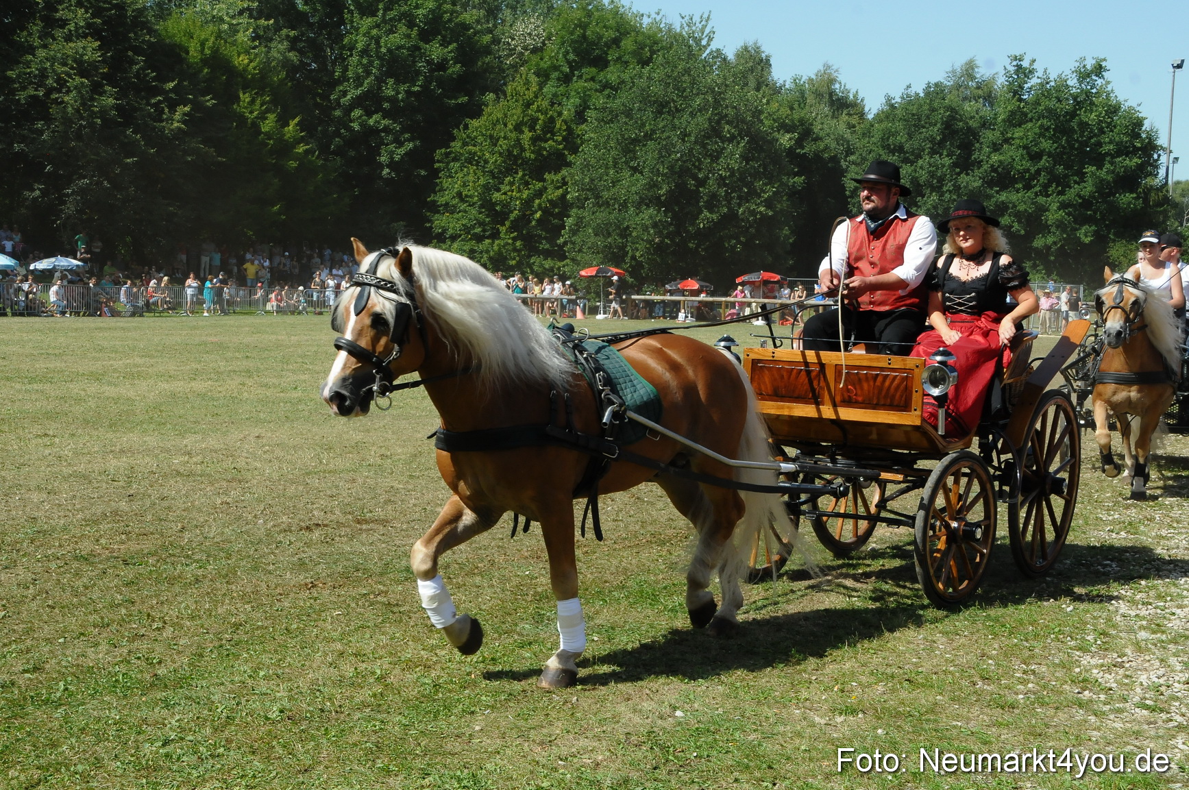 Pferde Fohlenschau 200812 0328