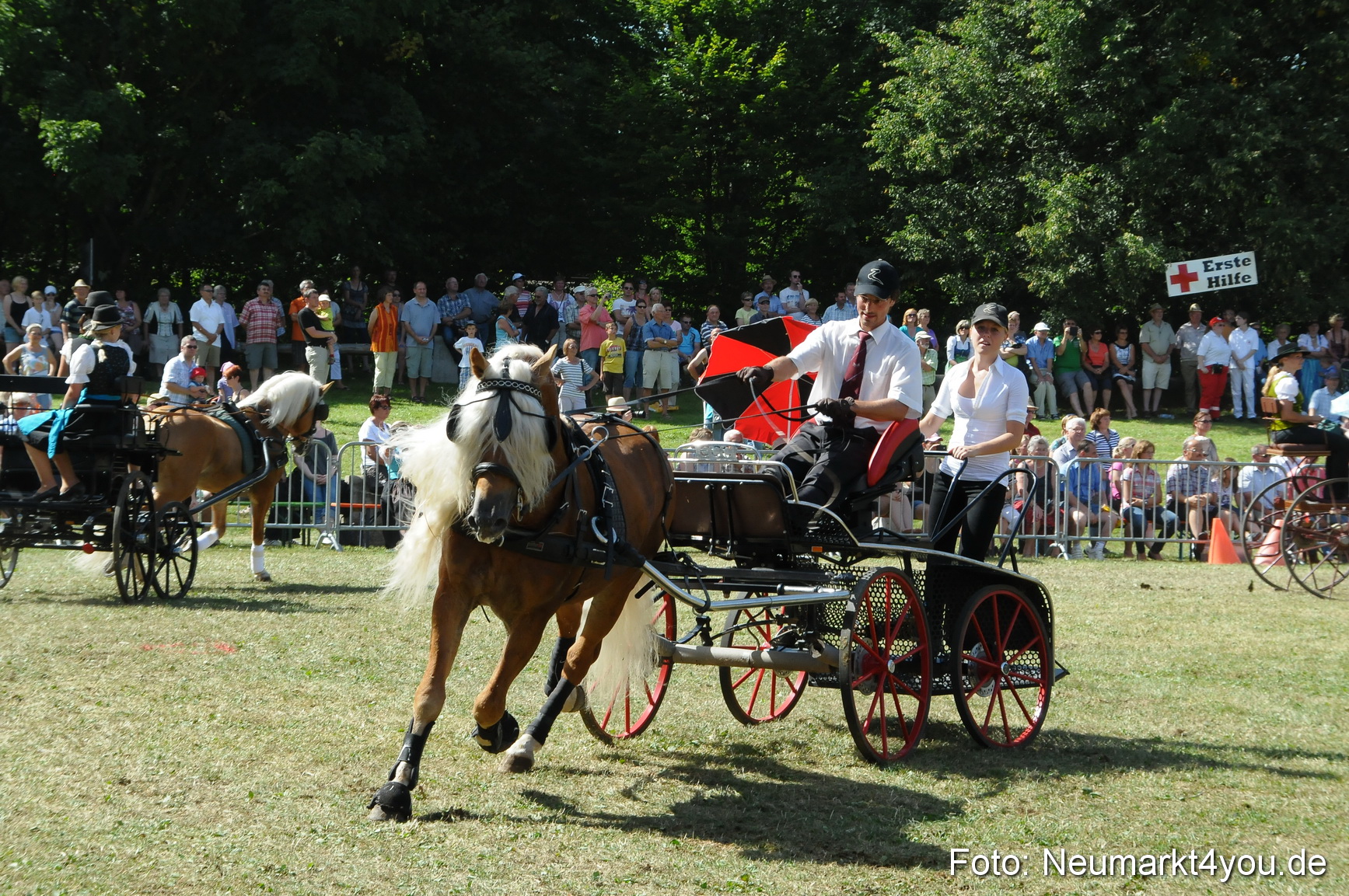 Pferde Fohlenschau 200812 0331