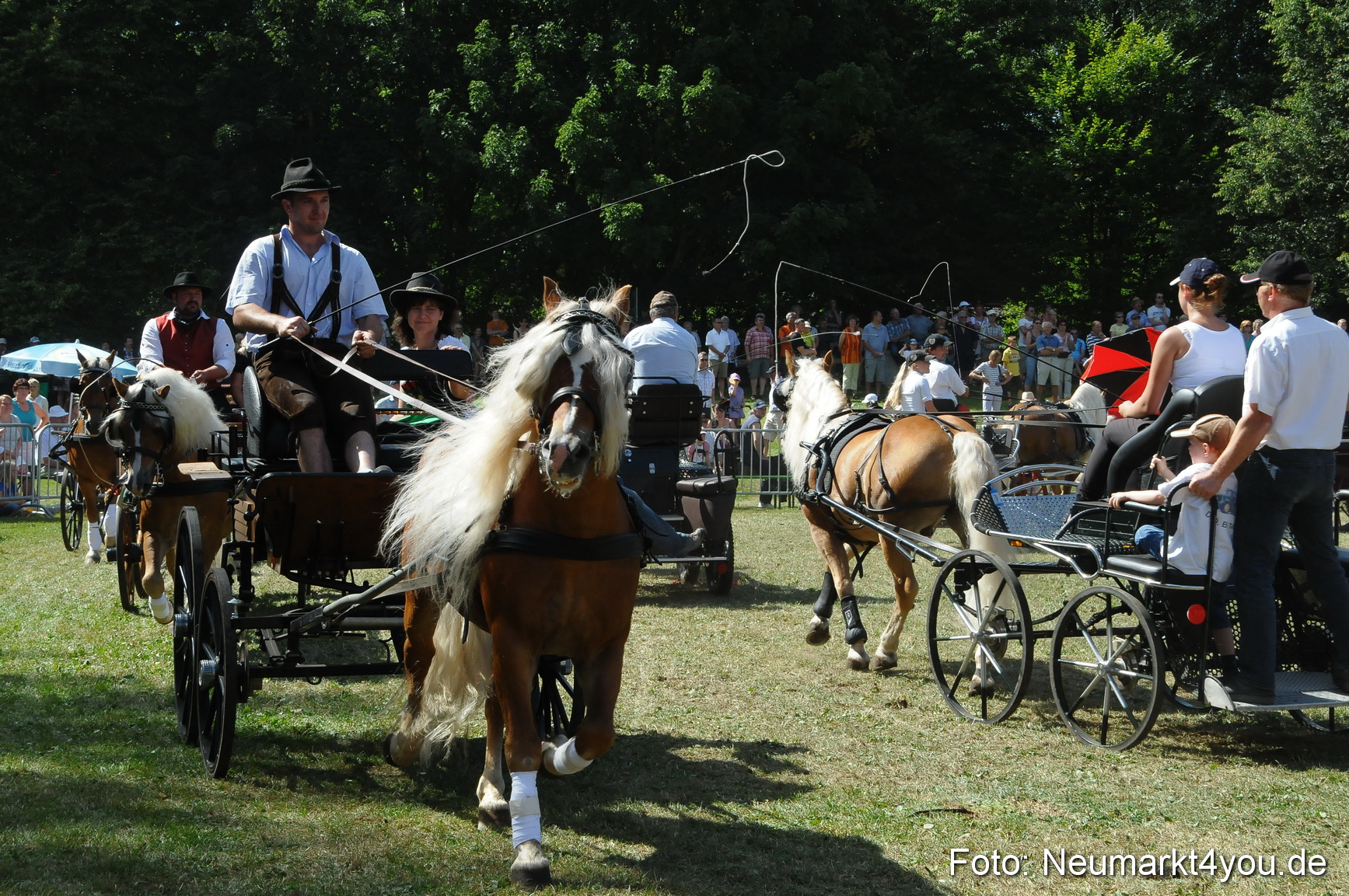 Pferde Fohlenschau 200812 0334