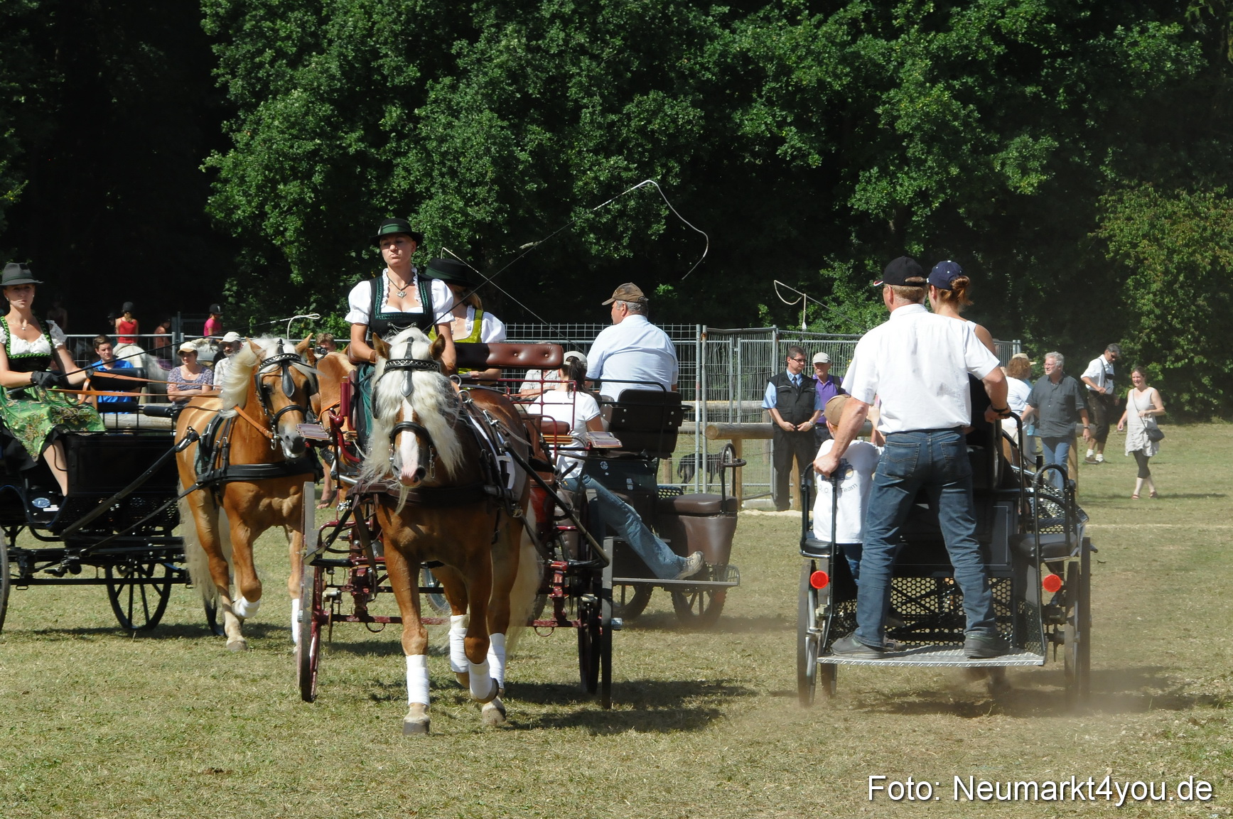 Pferde Fohlenschau 200812 0337