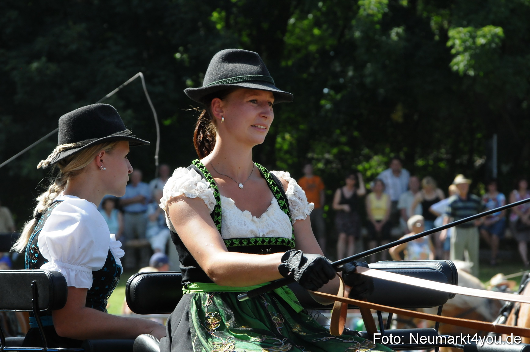 Pferde Fohlenschau 200812 0338