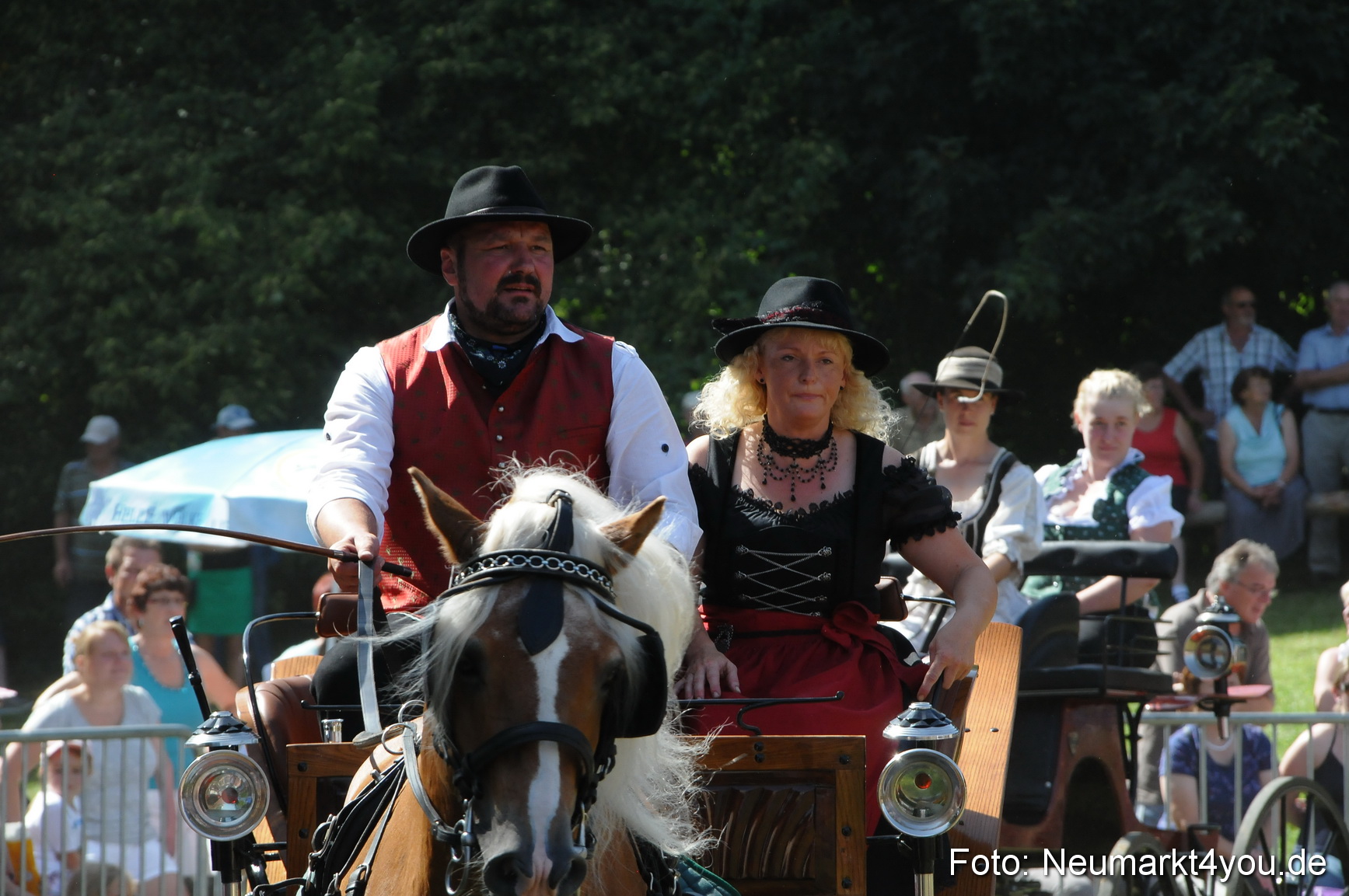 Pferde Fohlenschau 200812 0339