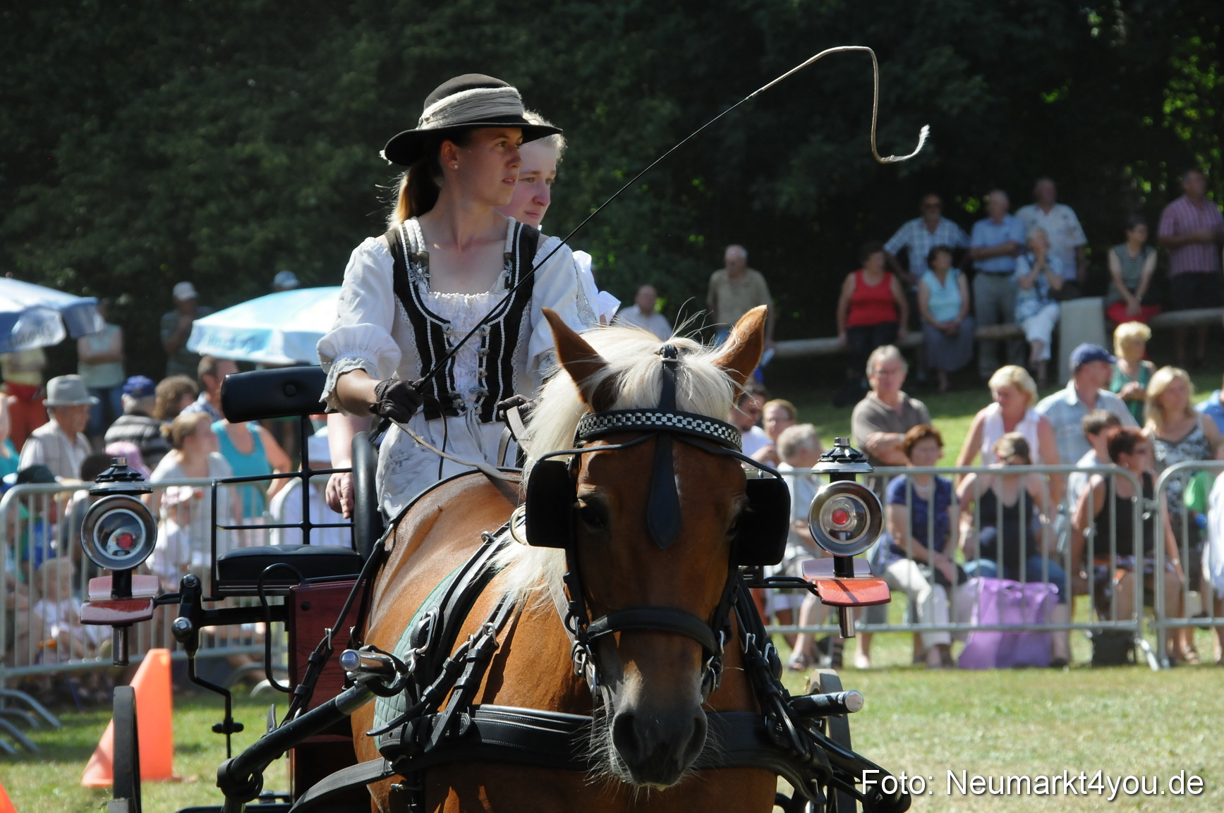 Pferde Fohlenschau 200812 0340
