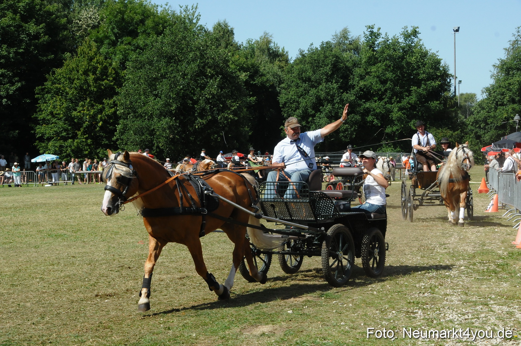 Pferde Fohlenschau 200812 0343