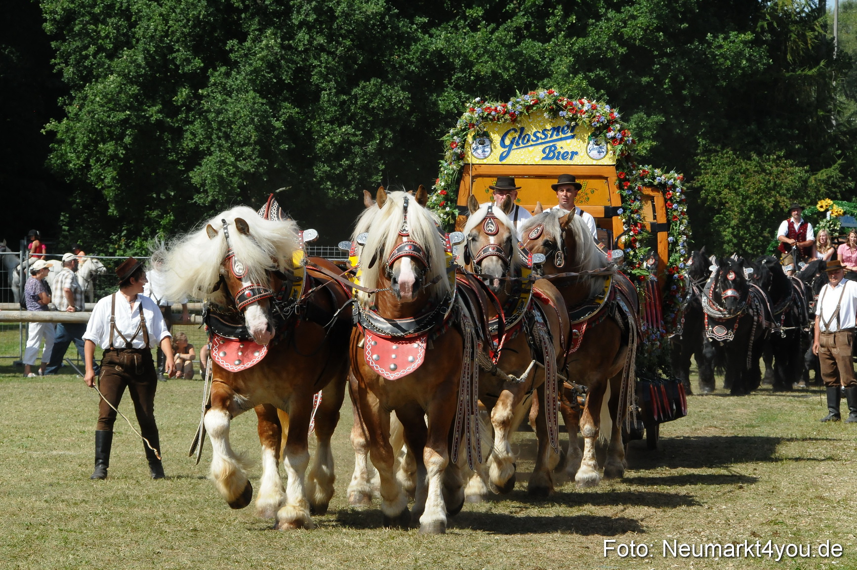 Pferde Fohlenschau 200812 0345