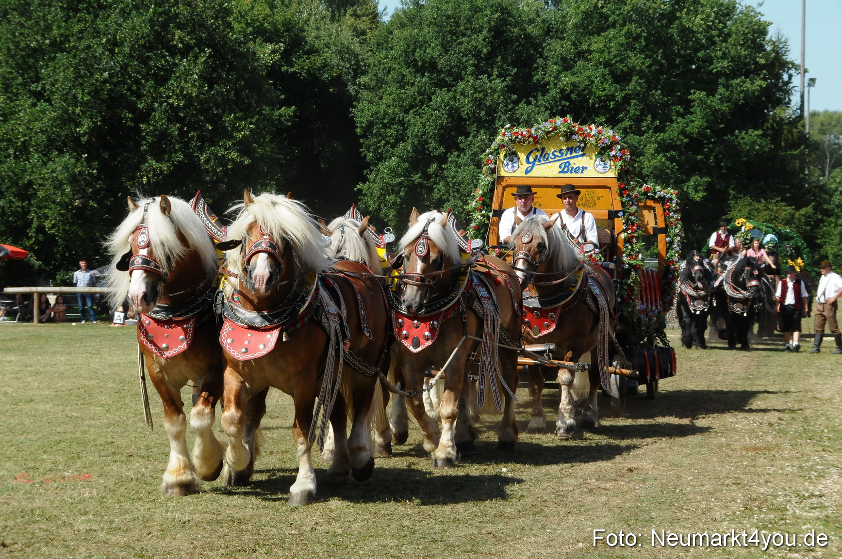 Pferde Fohlenschau 200812 0346