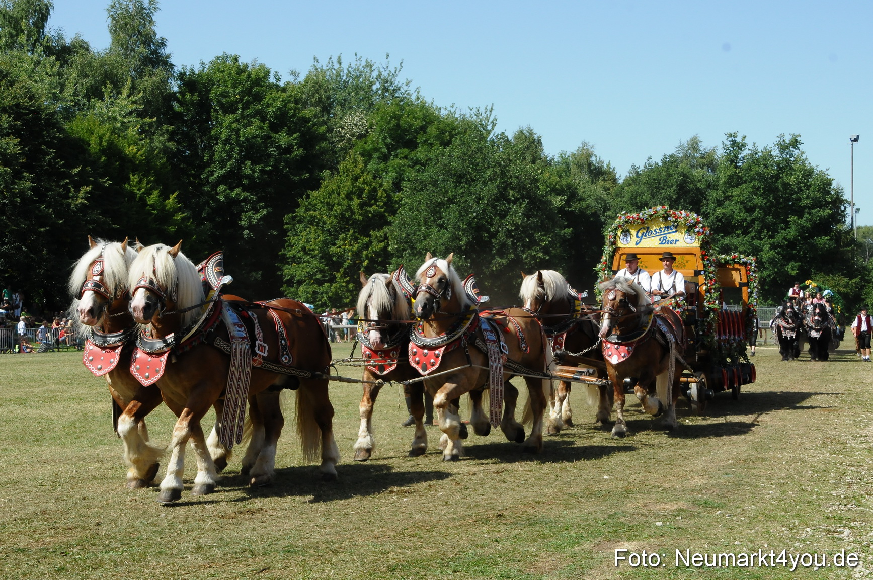 Pferde Fohlenschau 200812 0347