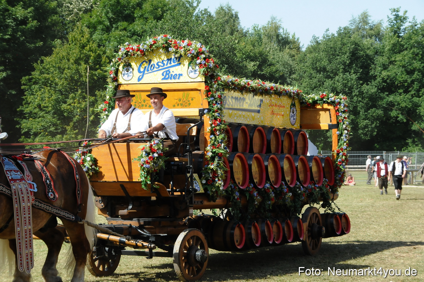 Pferde Fohlenschau 200812 0348