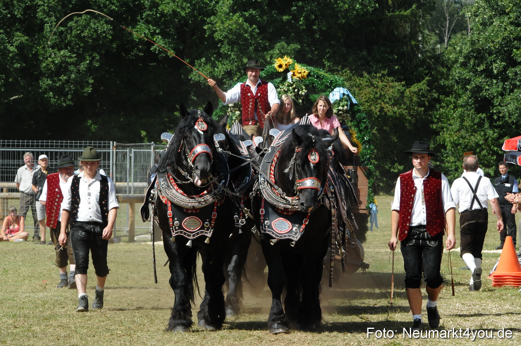 Pferde Fohlenschau 200812 0349