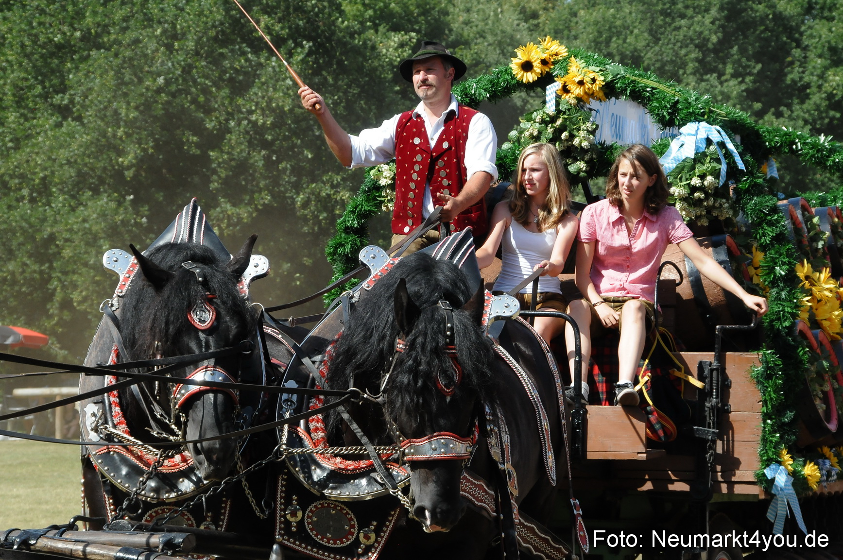 Pferde Fohlenschau 200812 0350