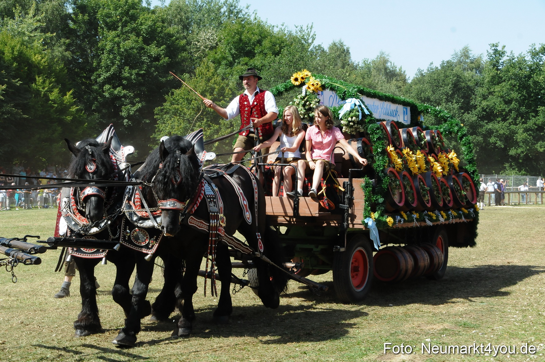 Pferde Fohlenschau 200812 0351
