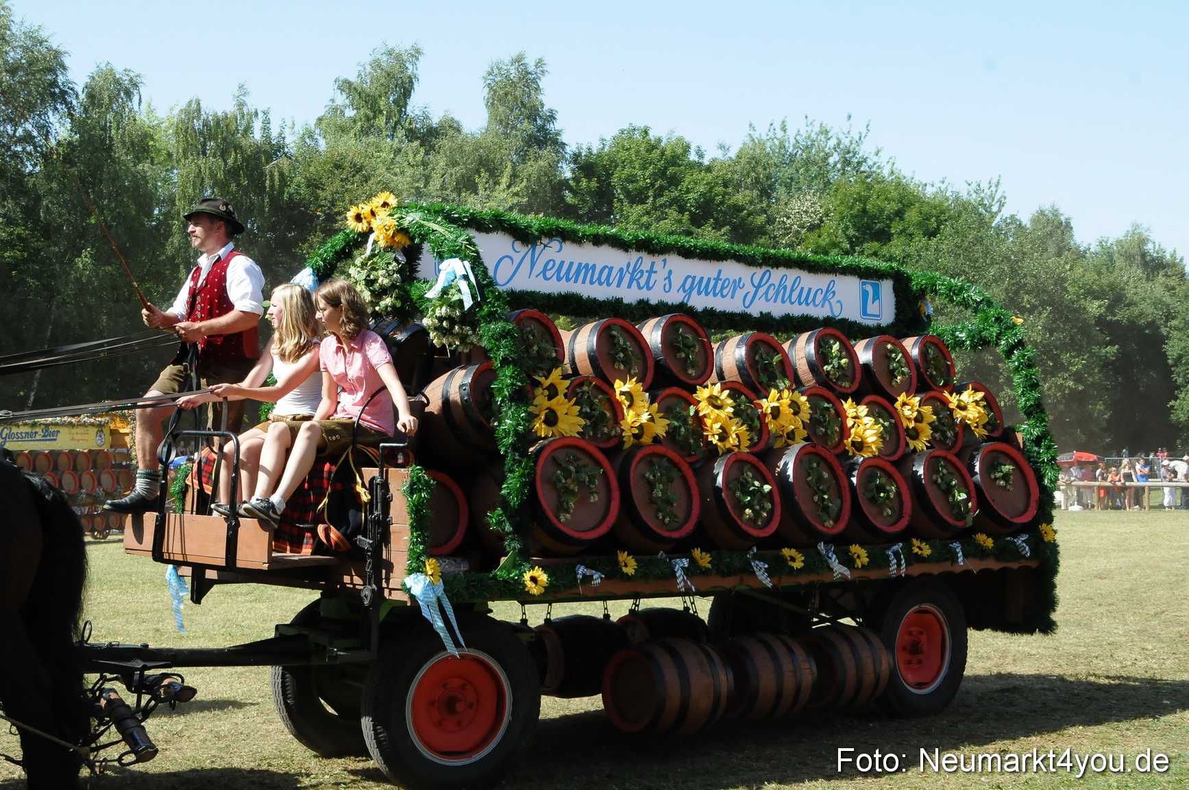 Pferde Fohlenschau 200812 0352