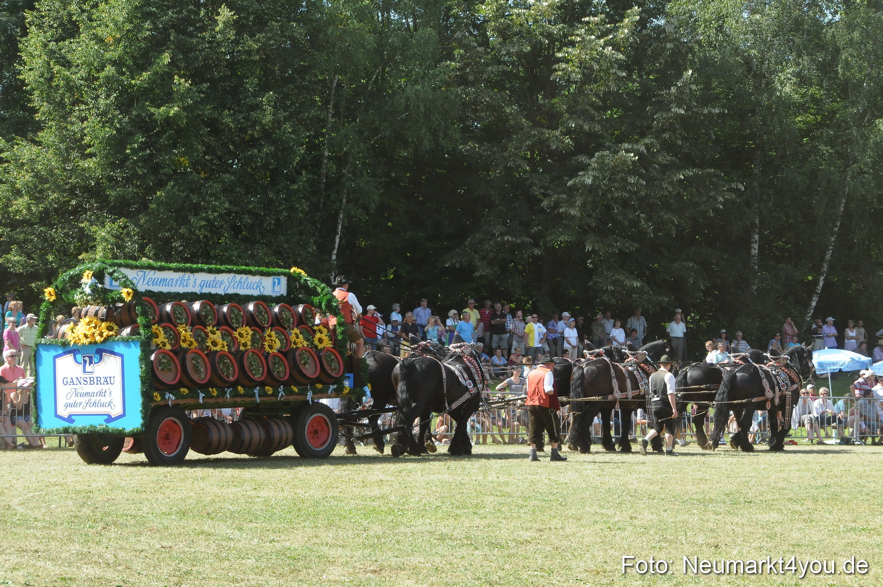 Pferde Fohlenschau 200812 0353