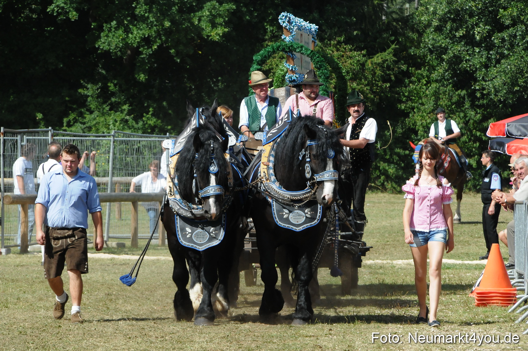 Pferde Fohlenschau 200812 0354