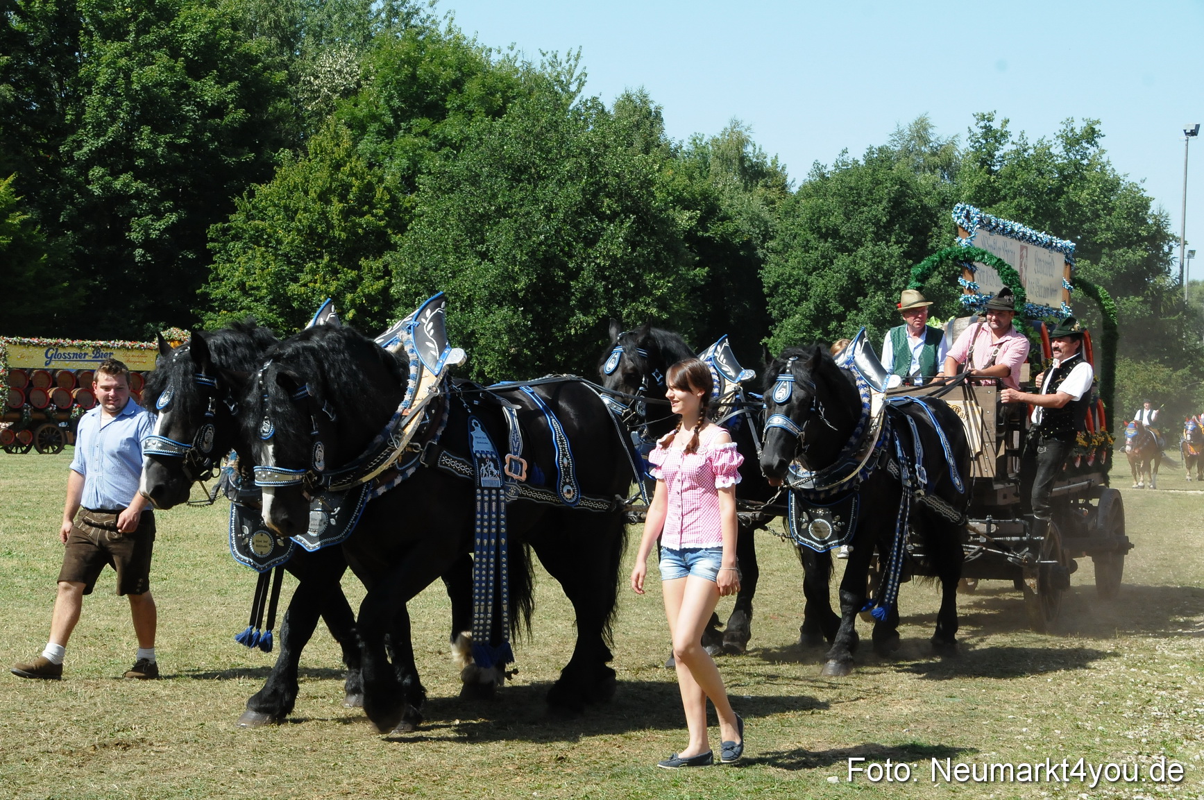 Pferde Fohlenschau 200812 0356