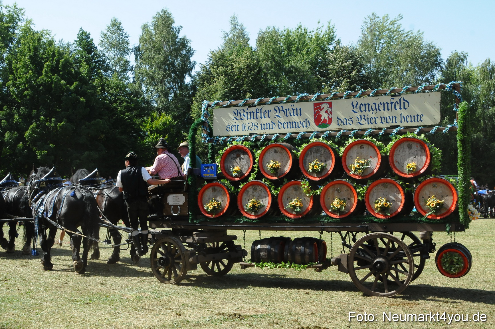 Pferde Fohlenschau 200812 0358