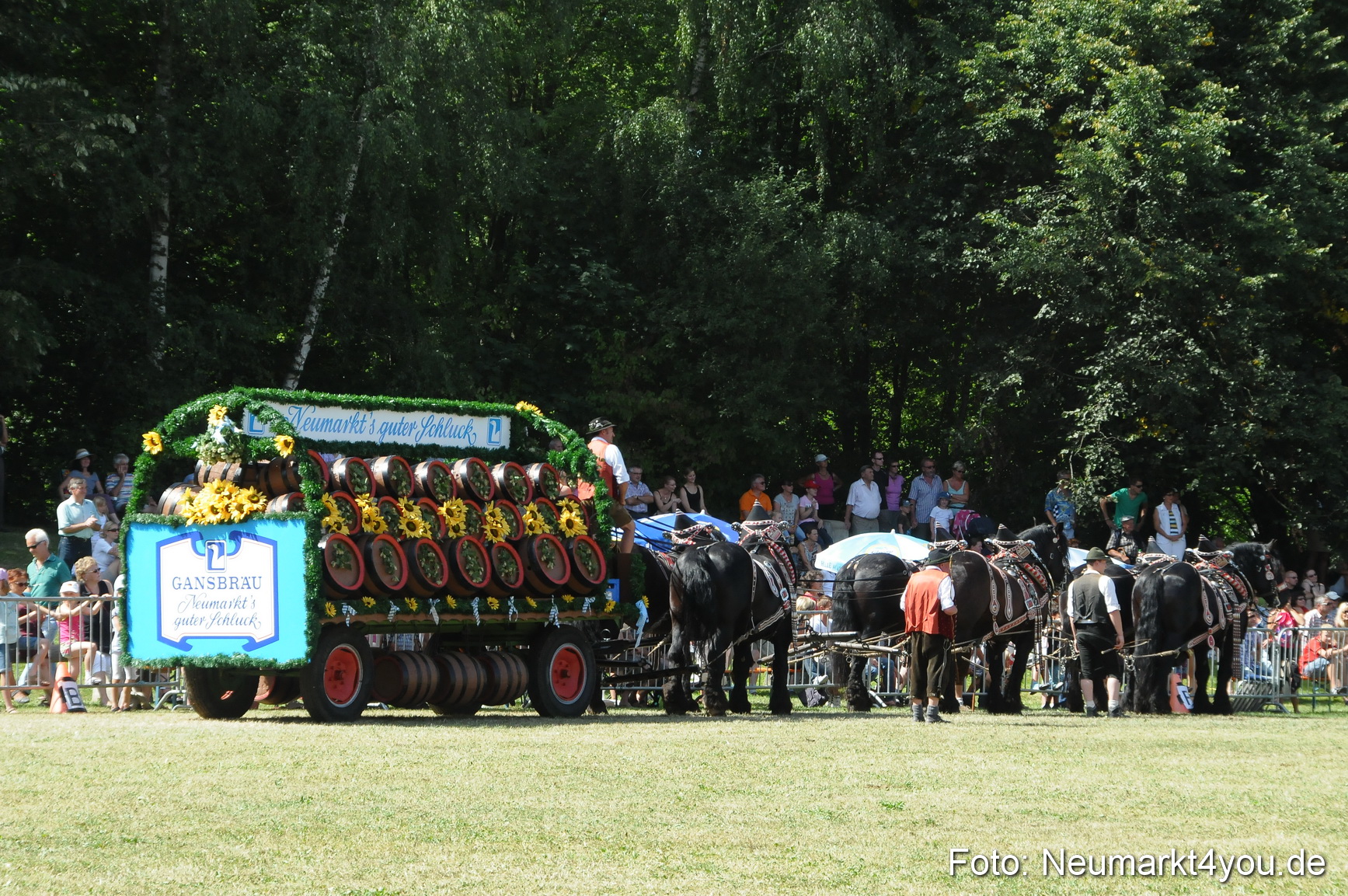 Pferde Fohlenschau 200812 0359