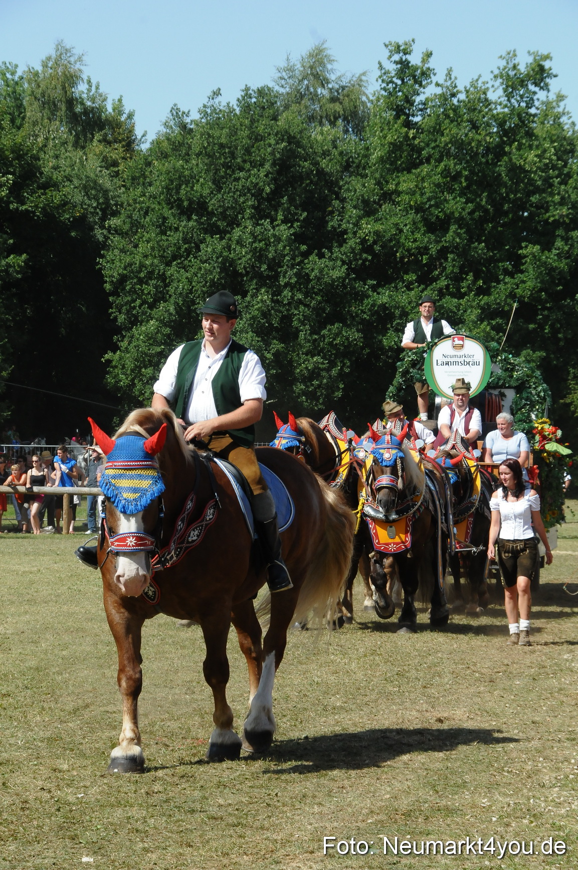 Pferde Fohlenschau 200812 0360