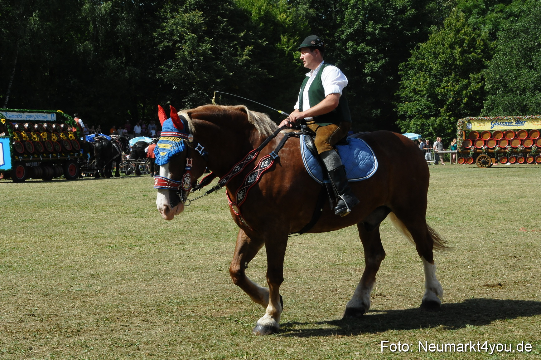 Pferde Fohlenschau 200812 0361