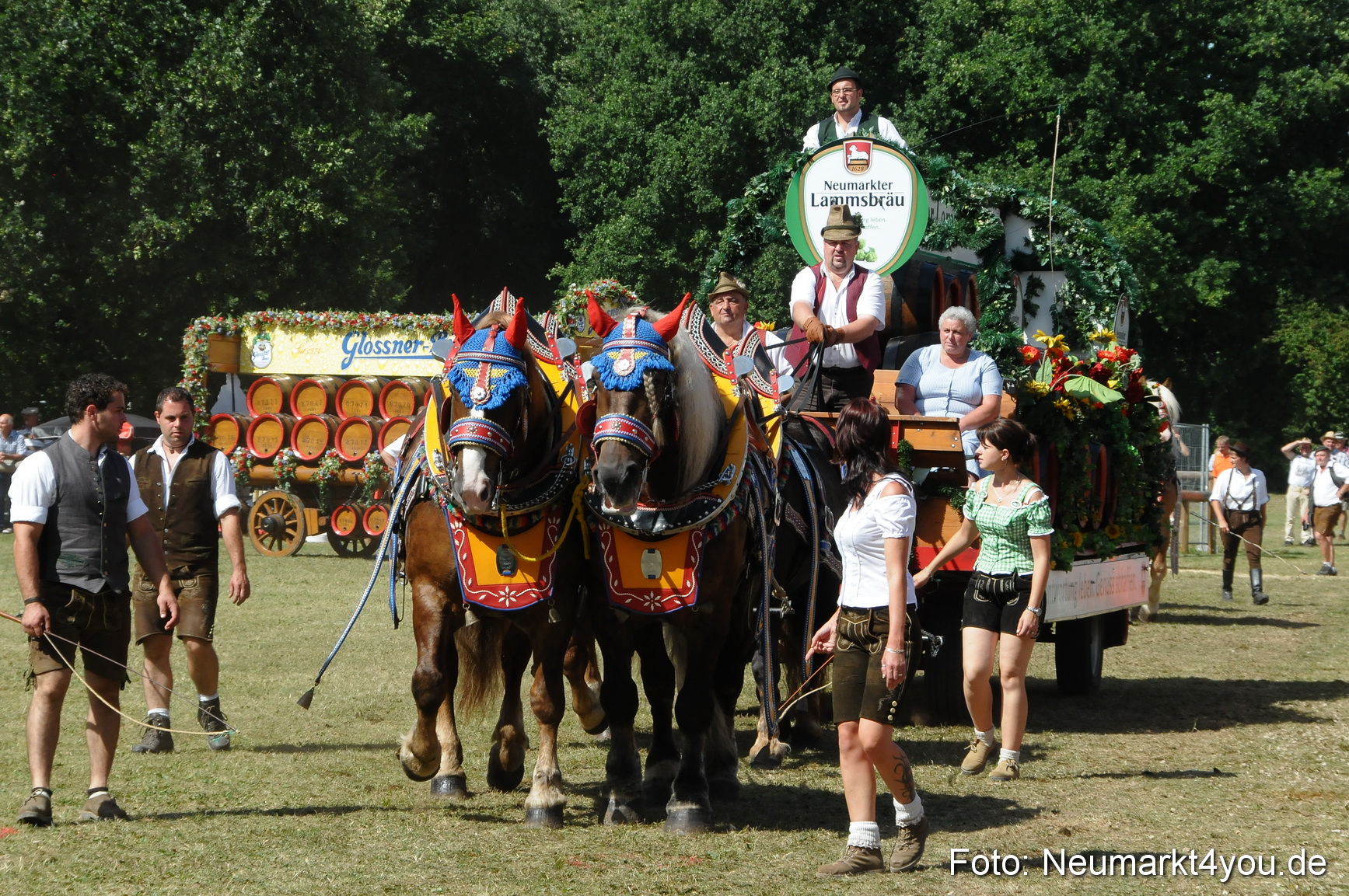 Pferde Fohlenschau 200812 0362