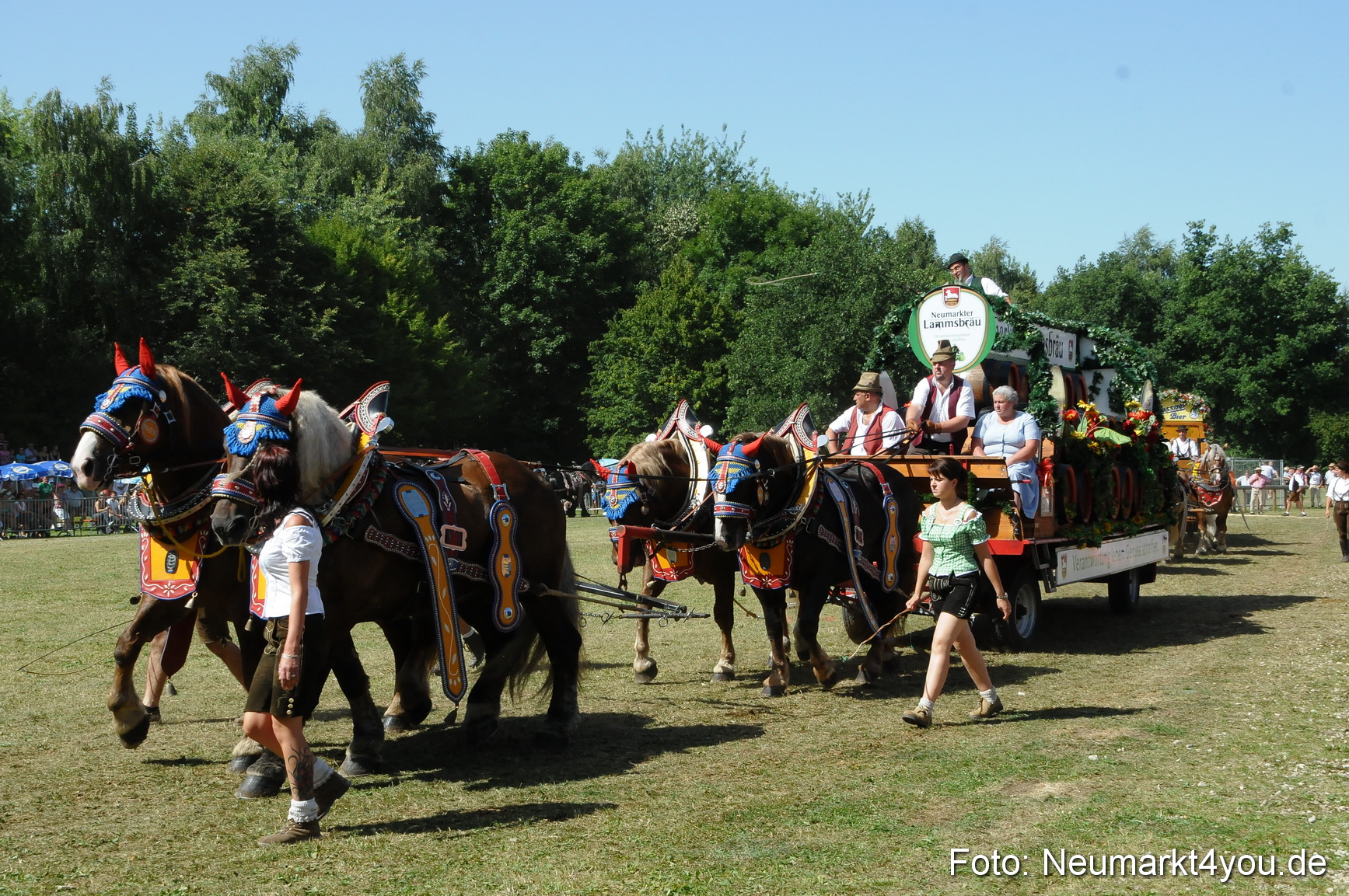 Pferde Fohlenschau 200812 0364
