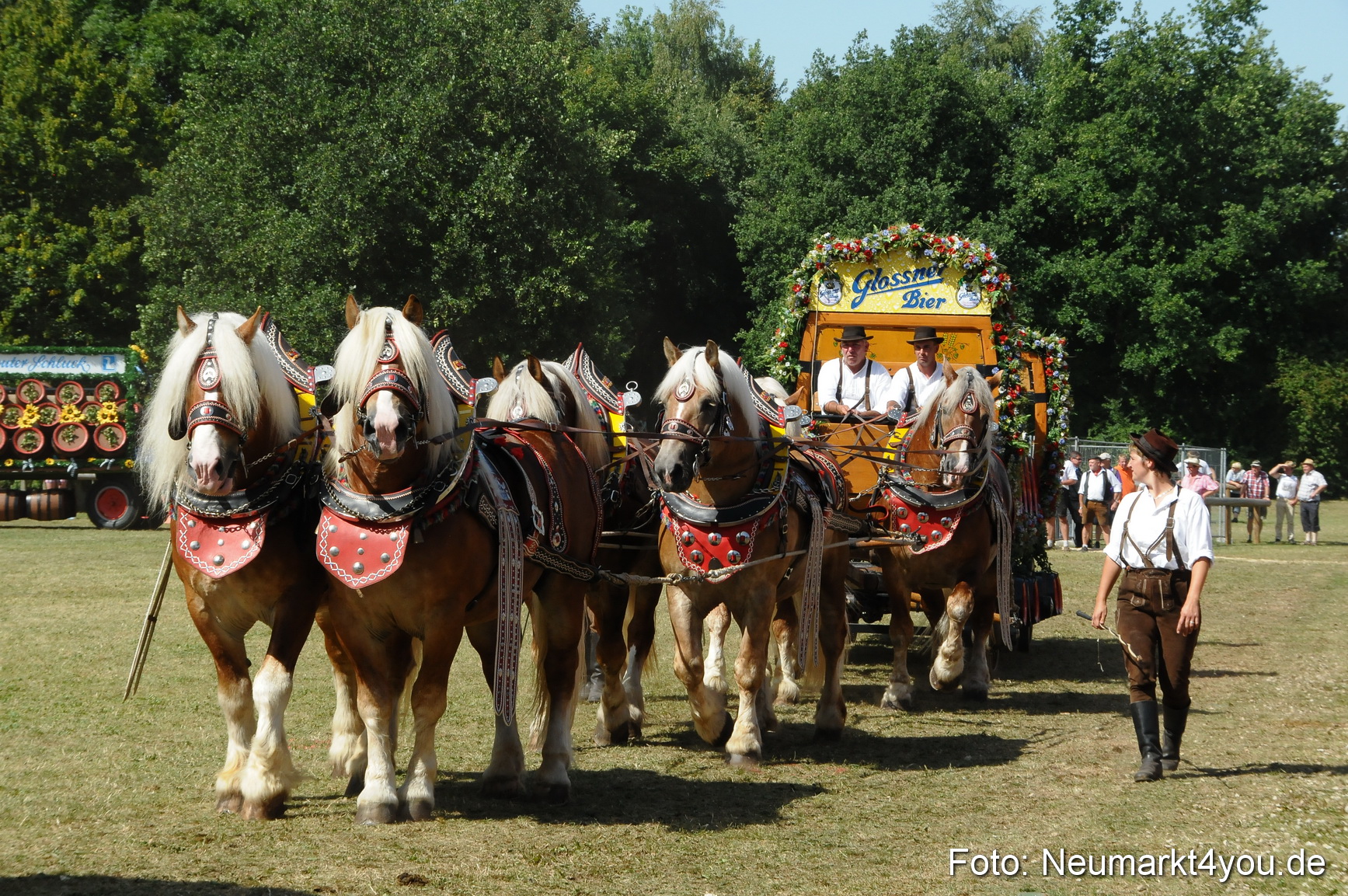 Pferde Fohlenschau 200812 0366