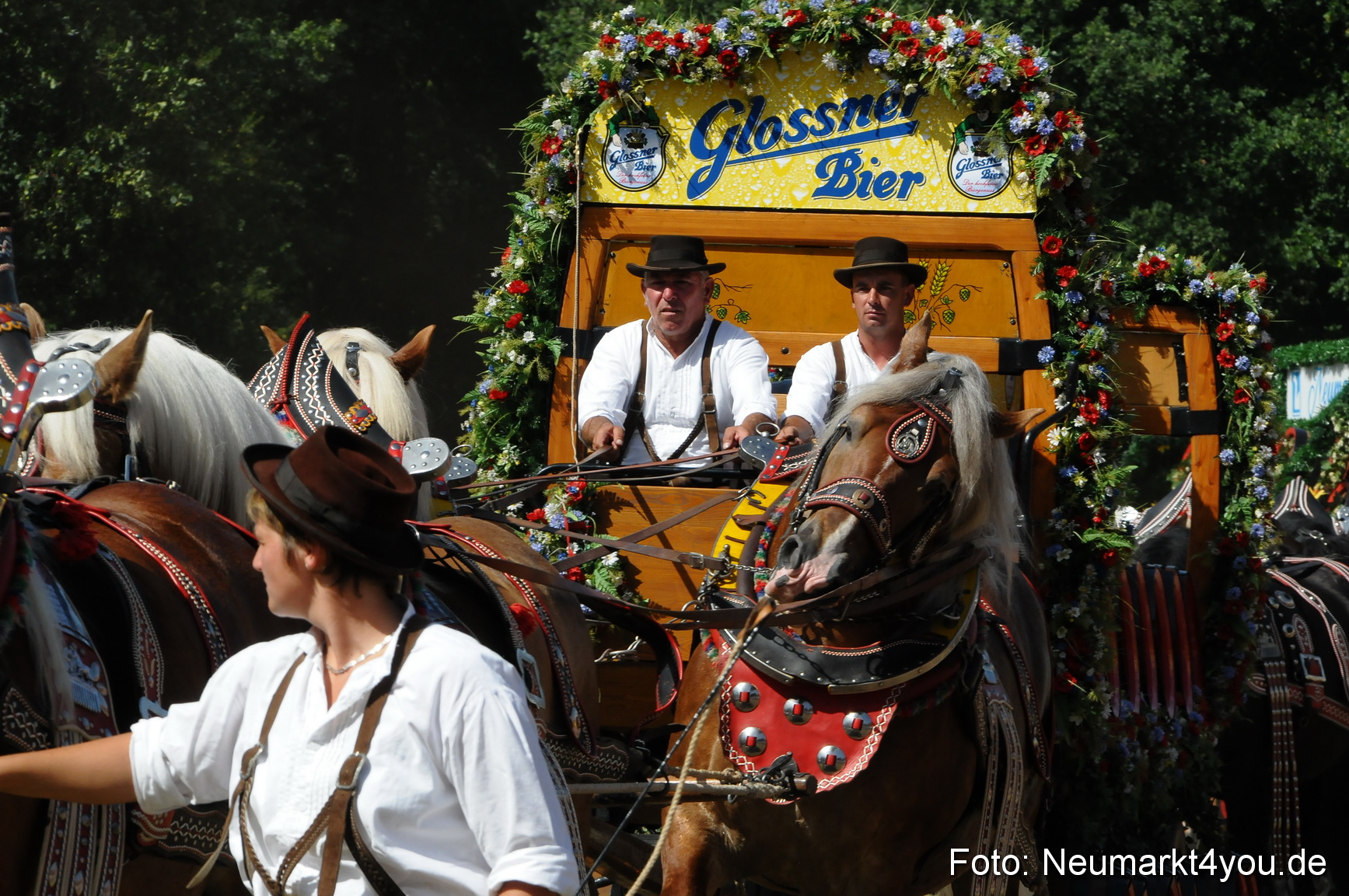 Pferde Fohlenschau 200812 0367